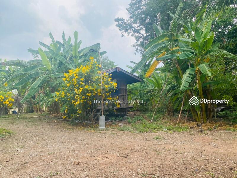 ขาย - ที่ดินหนองบุญมาก นครราชสีมา, นครราชสีมา