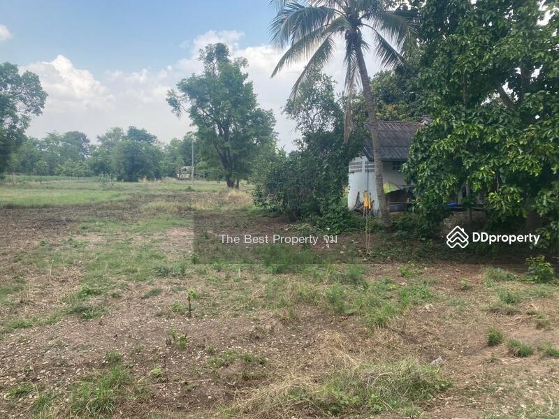 For Sale - ที่ดินหนองบุญมาก นครราชสีมา, Nakhon Ratchasima