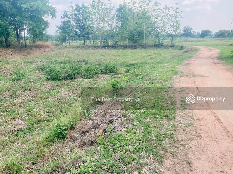 For Sale - ที่ดินหนองบุญมาก นครราชสีมา, Nakhon Ratchasima