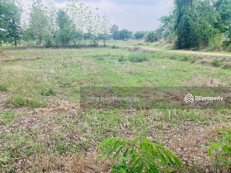 For Sale - ที่ดินหนองบุญมาก นครราชสีมา, Nakhon Ratchasima
