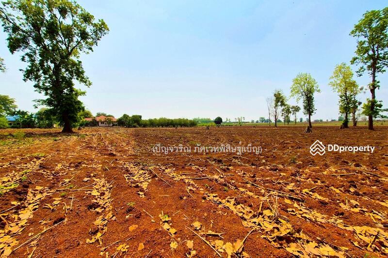 ขาย - BO-844175 ที่ดินหนองบุญมาก 66 ไร่ 259 ตร.ว. นครราชสีมา ใกล้โรงพยาบาลหนองบุญมาก, นครราชสีมา