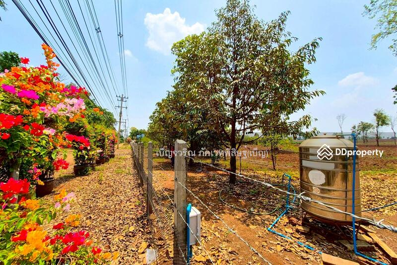 ขาย - BO-844175 ที่ดินหนองบุญมาก 66 ไร่ 259 ตร.ว. นครราชสีมา ใกล้โรงพยาบาลหนองบุญมาก, นครราชสีมา