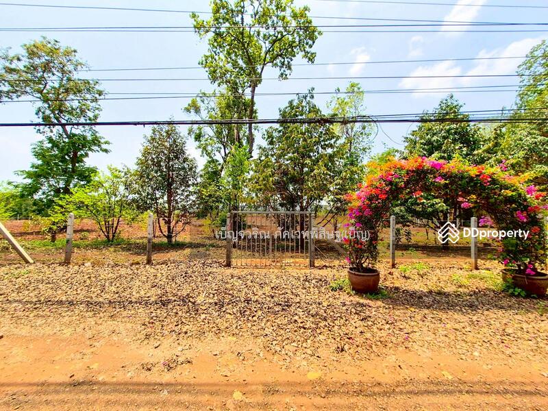 ขาย - BO-844175 ที่ดินหนองบุญมาก 66 ไร่ 259 ตร.ว. นครราชสีมา ใกล้โรงพยาบาลหนองบุญมาก, นครราชสีมา
