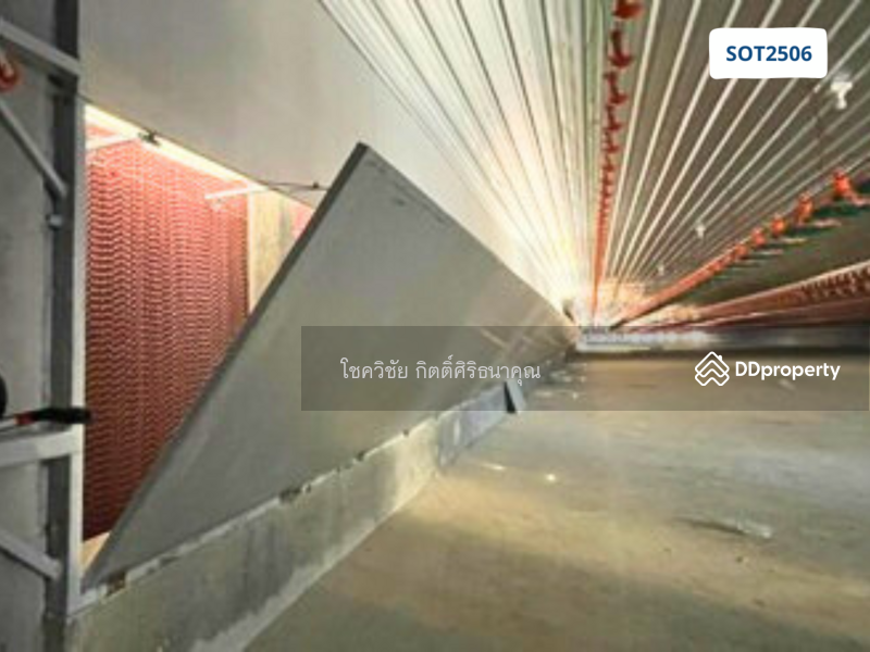 For Sale - For Sale: Newly Built Closed-System Broiler Chicken Farm – Ready to Operate, Prachin Buri
