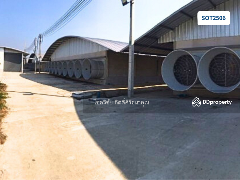 For Sale - For Sale: Newly Built Closed-System Broiler Chicken Farm – Ready to Operate, Prachin Buri