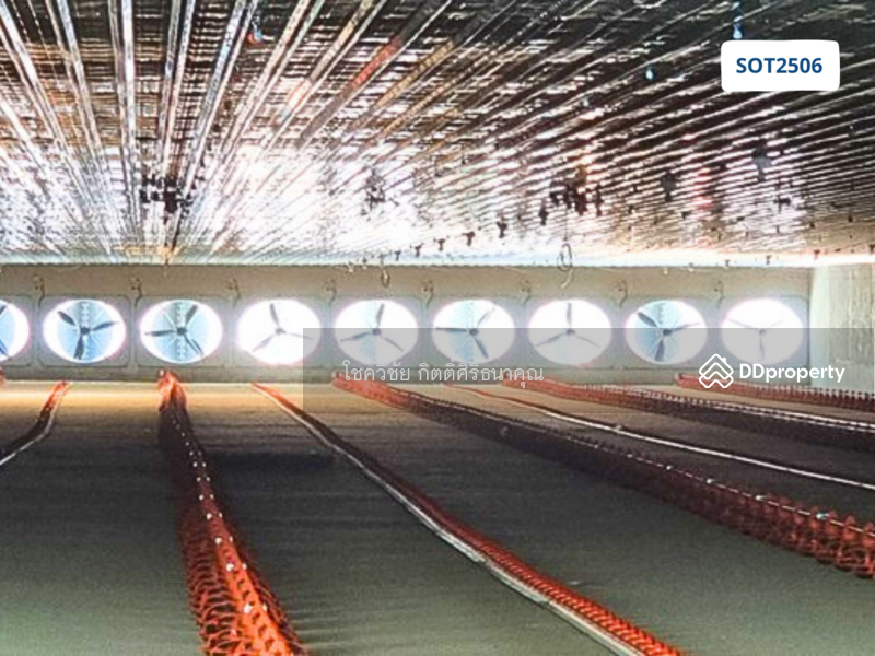 For Sale - For Sale: Newly Built Closed-System Broiler Chicken Farm – Ready to Operate, Prachin Buri