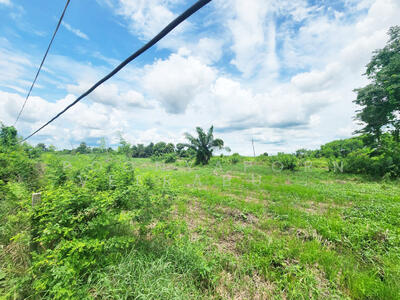 ขาย - ขายที่ดินเปล่า เนื้อที่ 67.5 ตารางวา อ.ธัญบุรี ปทุมธานี, ปทุมธานี