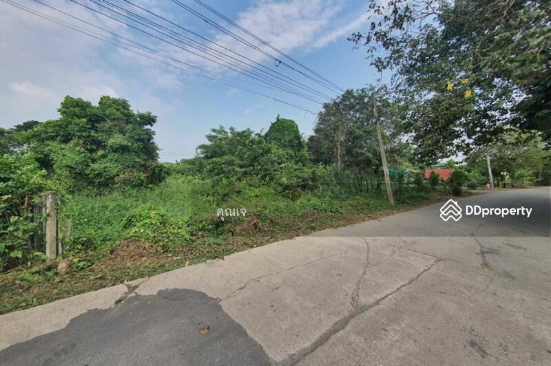 ขาย - ที่ดินเปล่า 360 ตารางวา ถนนลำไทรหนองจอก ติดถนน 2 ด้าน ปลดล็อคทุกไลฟ์สไตล์ บนที่ดินผืนสวย, กรุงเทพ