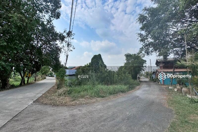 ขาย - ที่ดินเปล่า 360 ตารางวา ถนนลำไทรหนองจอก ติดถนน 2 ด้าน ปลดล็อคทุกไลฟ์สไตล์ บนที่ดินผืนสวย, กรุงเทพ