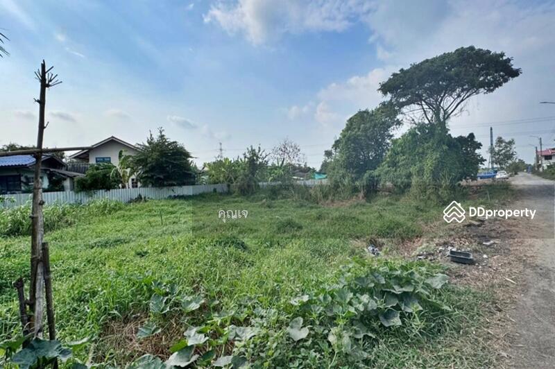 ขาย - ที่ดินเปล่า 360 ตารางวา ถนนลำไทรหนองจอก ติดถนน 2 ด้าน ปลดล็อคทุกไลฟ์สไตล์ บนที่ดินผืนสวย, กรุงเทพ