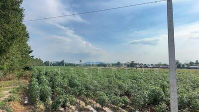 ขาย - ขายที่ดินเกาะขนุน 31.5 ไร่ ติดถนนเส้น 3017 ใกล้ถนนเส้นสัตหีบ-พนมสารคาม(331) - 750 เมตร, ฉะเชิงเทรา