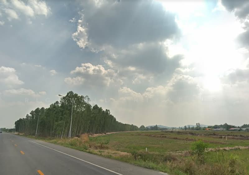 Land for sale on Koh Khanun, 31.5 rai, next to road 3017,, Chachoengsao, Ko Khanun, Phanom Sarakham, Chachoengsao, , 50,728 sqm, Land For Sale, by RICHWELL INTERPLUS, 11860996 - DDproperty.com