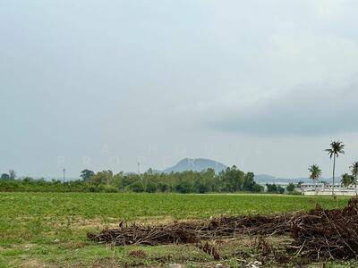 ขาย - ขายที่ดินเปล่า หนองขาม ศรีราชา แปลงงาม, ชลบุรี