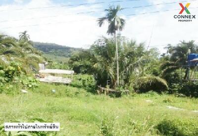 ขาย - ที่ดินเปล่า 48 ตารางวา เกาะลันตา กระบี่ land 48 square wah Koh Lanta Krabi, กระบี่