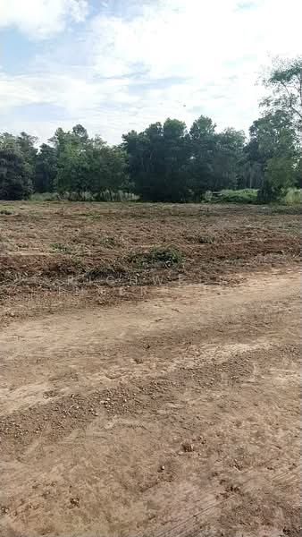 ขาย - ขายที่ดินคู้ยายหมี 200 ตรว. ใกล้อบต.คู้ยายหมี - 1.1 กม. สนามชัยเขต, ฉะเชิงเทรา