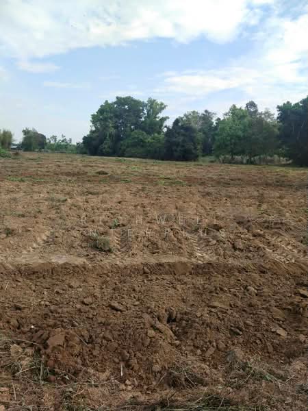 ขาย - ขายที่ดินคู้ยายหมี 200 ตรว. ใกล้อบต.คู้ยายหมี - 1.1 กม. สนามชัยเขต, ฉะเชิงเทรา