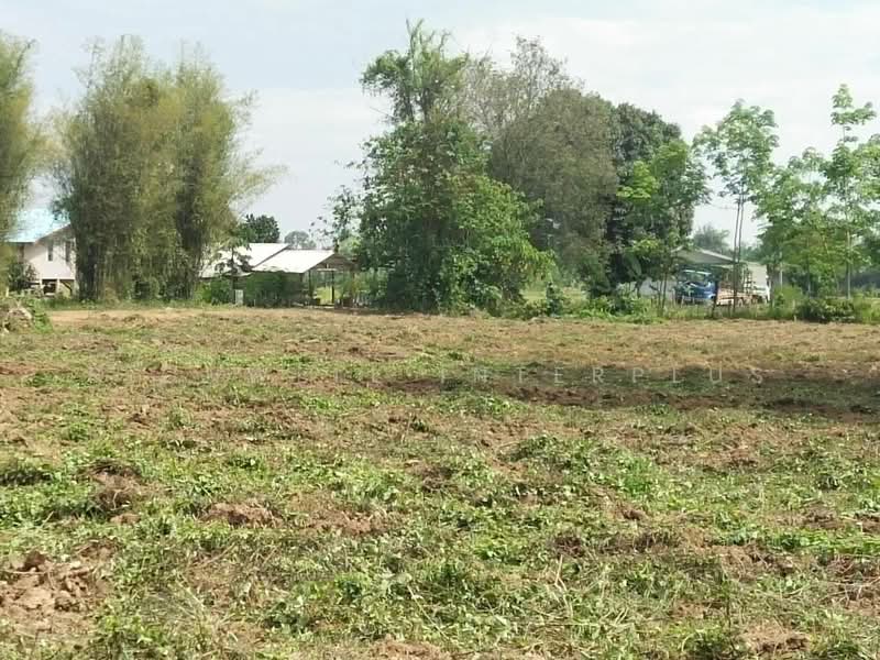 ขาย - ขายที่ดินคู้ยายหมี 200 ตรว. ใกล้อบต.คู้ยายหมี - 1.1 กม. สนามชัยเขต, ฉะเชิงเทรา