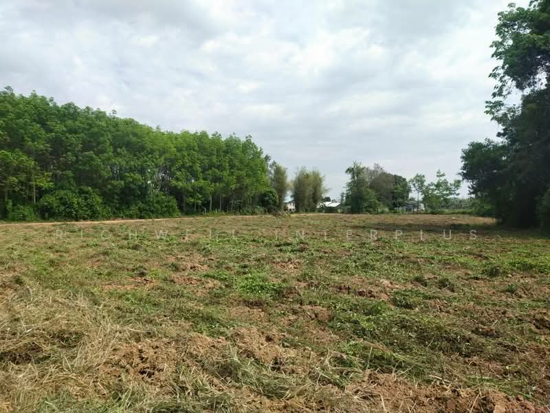Land for sale, Khu Yai Mi, 200 sq.w.,, Chachoengsao, Khu Yai Mi, Sanam Chaikhet, Chachoengsao, , 1,024 sqm, Land For Sale, by RICHWELL INTERPLUS, 11861711 - DDproperty.com