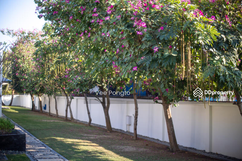 ขาย - Luxury Modern Villa – Your Dream Home Awaits, ประจวบคีรีขันธ์