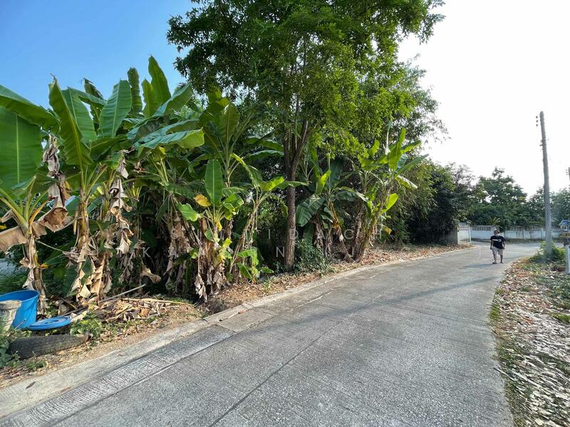 ขาย - ขายที่ดิน ใกล้โลตัสท่าทอง พิษณุโลก 1-1-59.9ไร่ พร้อมบ้านเดี่ยว 2นอน 2น้ำ, พิษณุโลก