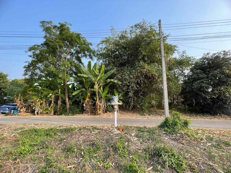 ขาย - ขายที่ดิน ใกล้โลตัสท่าทอง พิษณุโลก 1-1-59.9ไร่ พร้อมบ้านเดี่ยว 2นอน 2น้ำ, พิษณุโลก