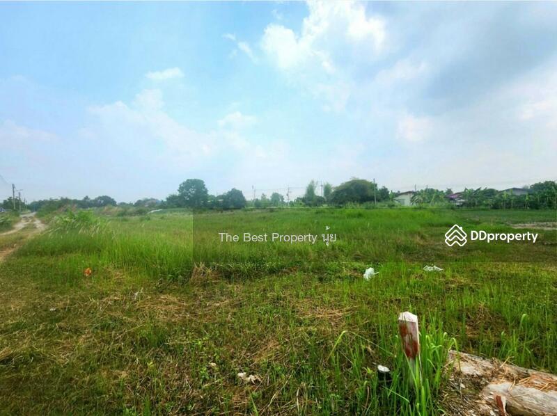ขาย - ที่ดินบ้านบึง ชลบุรี, ชลบุรี
