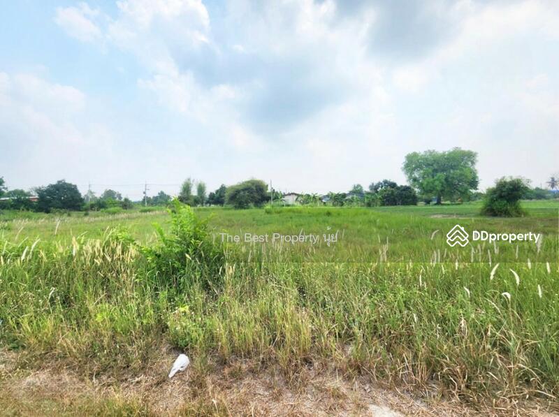 ขาย - ที่ดินบ้านบึง ชลบุรี, ชลบุรี