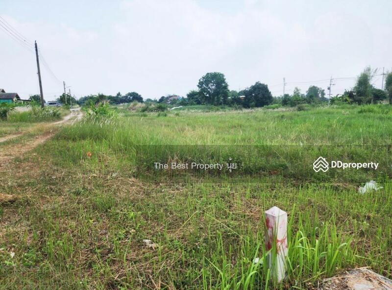 ขาย - ที่ดินบ้านบึง ชลบุรี, ชลบุรี