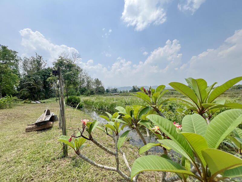 ขาย - รหัสทรัพย์: HB206 ขายบ้านชั้นเดียวสไตล์คันทรี ตำบลโป่งแพร่ อำเภอแม่ลาว จังหวัดเชี, เชียงราย