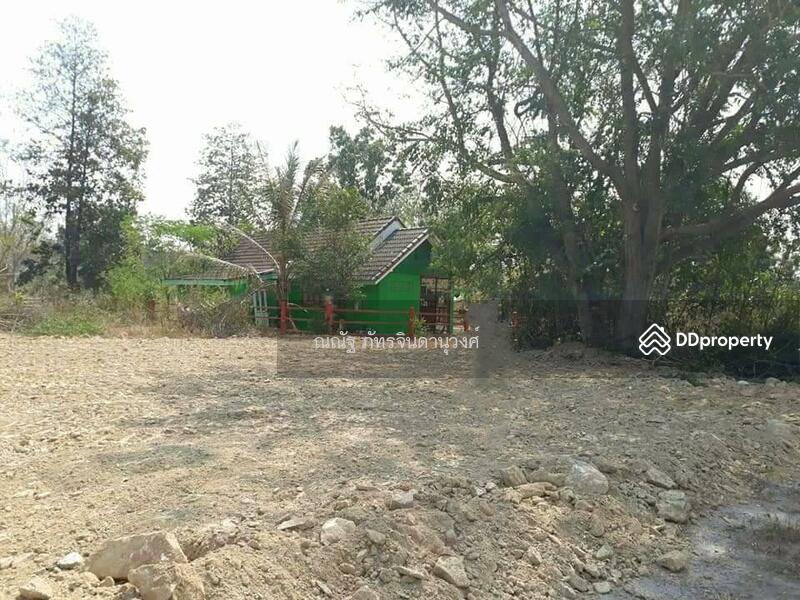 ขาย - พุหวายฮิลล์รีสอร์ท ต.ห้วยทรายเหนือ อ.ชะอำ จ.เพชรบุรี, เพชรบุรี