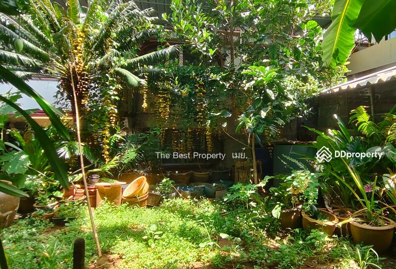 ขาย - บ้านเดี่ยวคลองนารายณ์ จันทบุรี, จันทบุรี