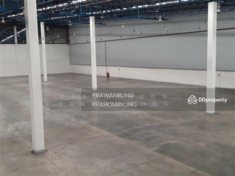 ให้เช่าโกดัง/คลังสินค้า พื้นที่ขนาด 1,200 11,250 ตารางเมตร ติดมอเตอร์เวย์ บางปะกง ฉะเชิงเทรา, ฉะเชิงเทรา, บางสมัคร, บางปะกง, ฉะเชิงเทรา, 1,200 ตร.ม., โกดัง-โรงงาน ให้เช่า, โดย PRAWANRUNG KRAHOMWONG, 11864234 - DDproperty.com