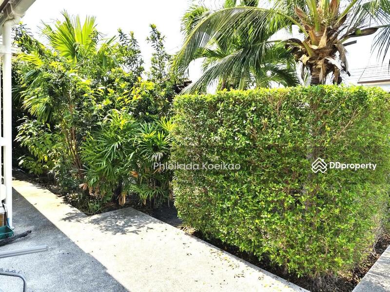 For Sale - Emerald Scenery, Prachuap Khiri Khan