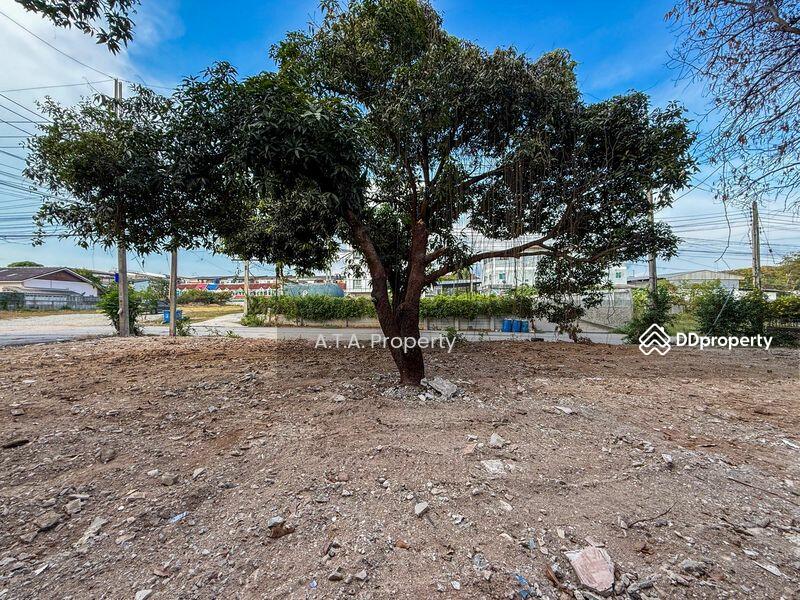 For Sale - Vacant land, Sriracha, Laem Chabang, Chon Buri
