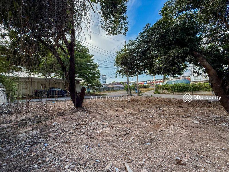 For Sale - Vacant land, Sriracha, Laem Chabang, Chon Buri