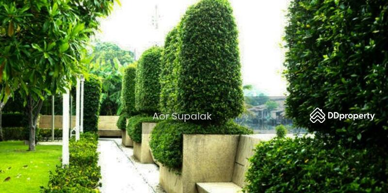 ขาย - The Star Estate Pattanakarn 69 : เดอะ สตาร์ เอสเตท พัฒนาการ 69, กรุงเทพ