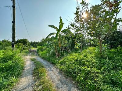 ขาย - ขายที่ดินห้วยกะปิ แยกคีรีนคร ใกล้สถานที่ท่องเที่ยว, ชลบุรี