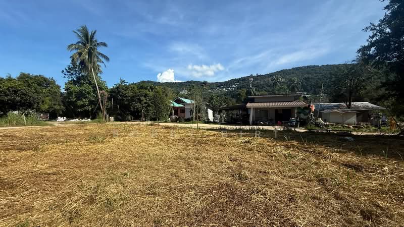 Ang Thong, Ko Samui, Surat Thani
