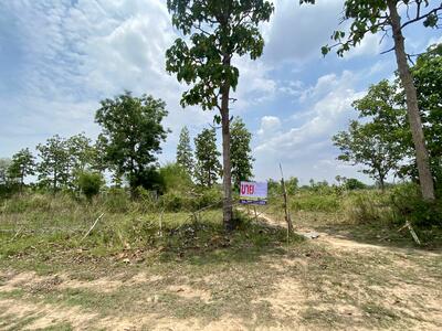 ขาย - ขายที่นาใกล้สี่แยกหนองสองห้อง, หนองคาย