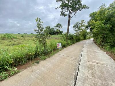 ขาย - ขายที่ดินใกล้ถนนมิตรภาพ หนองคาย-หนองสองห้อง, หนองคาย