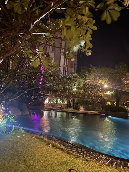 The Riviera Wongamat, Chon Buri (Pattaya), Na Kluea 16 Alley, Na Kloe, Bang Lamung (Pattaya), Chon Buri (Pattaya), 1 Bedroom, 35 sqm, Condo For Sale, by Patcharaporn Binsorlae, 11866417 - DDproperty.com