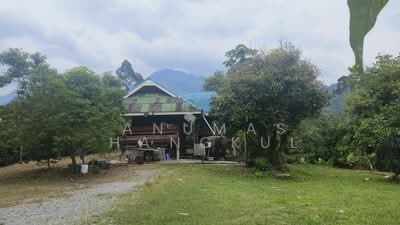 ขาย - ขายด่วนที่ดิน ติดถนนดำ วิวเขา, นครศรีธรรมราช