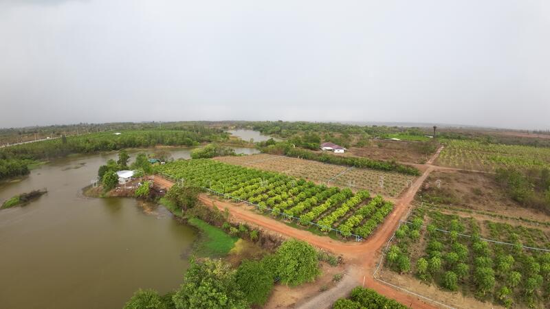 ที่ดิน30ไร่ติดอ่างเก็บน้ำห้วยไม้เต็ง, Ratchaburi, 22419 3208, Nam Phu, Muang Ratchaburi, Ratchaburi, , 48,000 sqm, Land For Sale, by ชารียา พรหมจักร, 11866527 - DDproperty.com