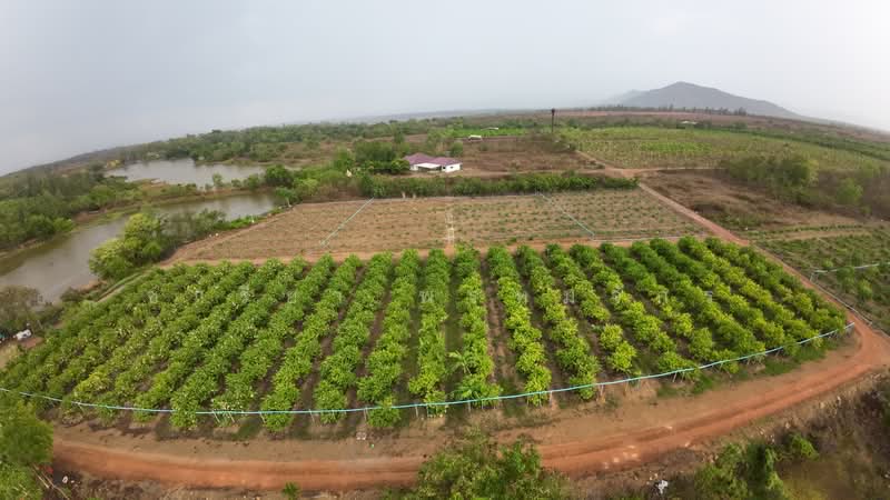 ที่ดิน30ไร่ติดอ่างเก็บน้ำห้วยไม้เต็ง, Ratchaburi, 22419 3208, Nam Phu, Muang Ratchaburi, Ratchaburi, , 48,000 sqm, Land For Sale, by ชารียา พรหมจักร, 11866527 - DDproperty.com