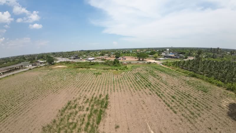 ที่ดินบางแพ, ราชบุรี, 14760 3237, วัดแก้ว, บางแพ, ราชบุรี, 14,948 ตร.ม., ที่ดิน ขาย, โดย ชารียา พรหมจักร, 11866548 - DDproperty.com