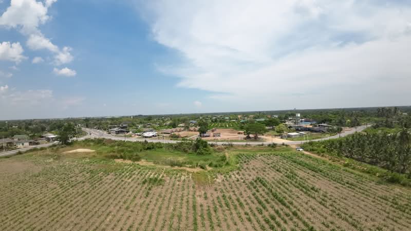 ที่ดินบางแพ, Ratchaburi, 14760 3237, Wat Kaeo, Bang Phae, Ratchaburi, , 14,948 sqm, Land For Sale, by ชารียา พรหมจักร, 11866548 - DDproperty.com