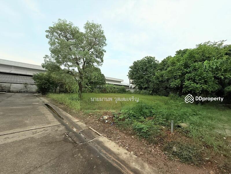 For Sale - ขายอาคาร ถนนเอกชัย พร้อมที่ดินแปลงสวย, Bangkok