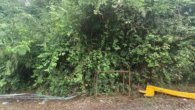 ขาย - ที่ดินท่าซัก นครศรีธรรมราช, นครศรีธรรมราช