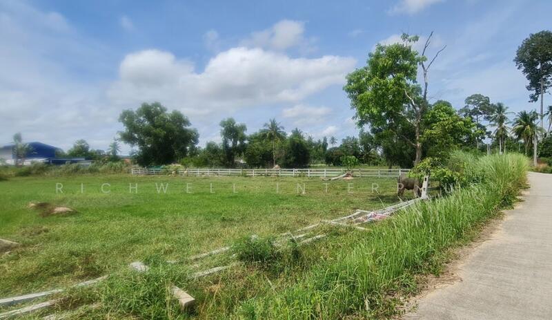 Land for sale in Huai Yai, Pattaya, 9 rai, divided into 4-5 rai, adjacent to 2 roads,, Chon Buri (Pattaya), Huai Yai, Bang Lamung (Pattaya), Chon Buri (Pattaya), , 15,012 sqm, Land For Sale, by RICHWELL INTERPLUS, 11866860 - DDproperty.com
