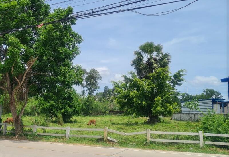 ขาย - ขายที่ดินห้วยใหญ่ พัทยา 9 ไร่ แบ่งขาย4-5ไร่ ติดถนน2ด้านซอยห้วยยายจีน, ชลบุรี